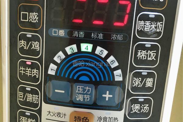 西红柿土豆炖牛腩的做法图解8