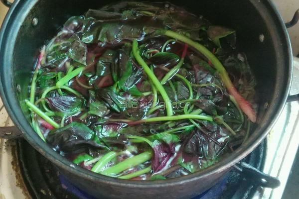 红苋菜猪肝汤的做法图解5