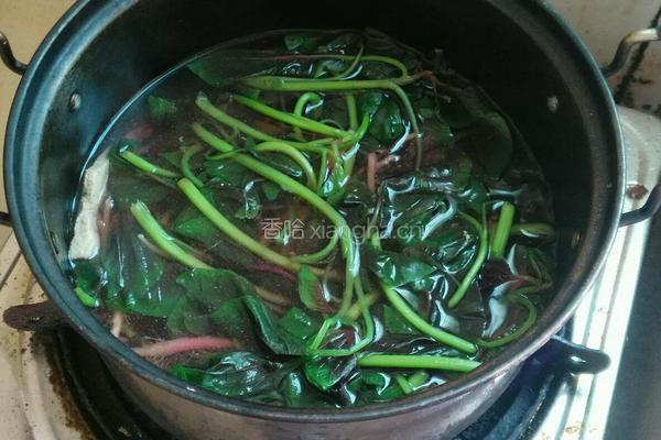 红苋菜猪肝汤的做法图解8