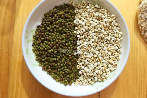 薏米绿豆汤的做法图解1