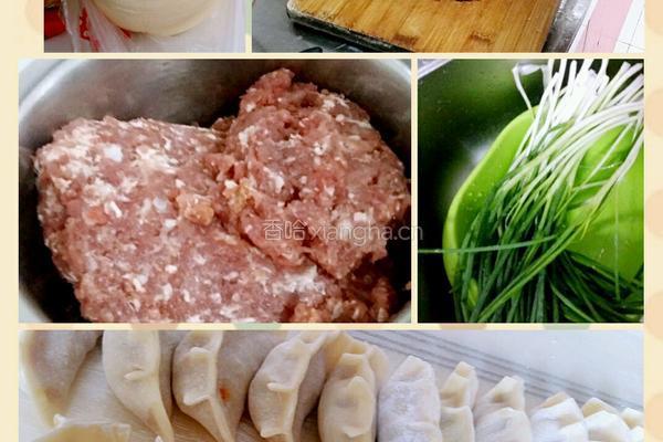 猪肉馅饺子的做法图解5