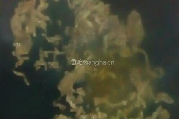 白菜梗炒肉的做法图解3
