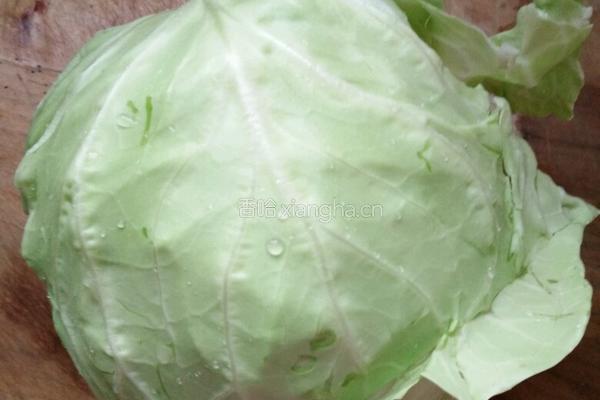 木耳炒卷心菜的做法图解1