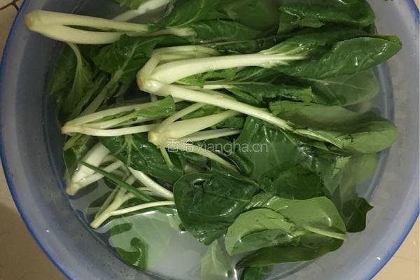 炒小白菜的做法图解1