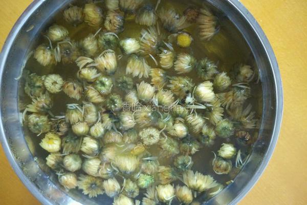 牛奶菊花龟苓膏的做法图解1