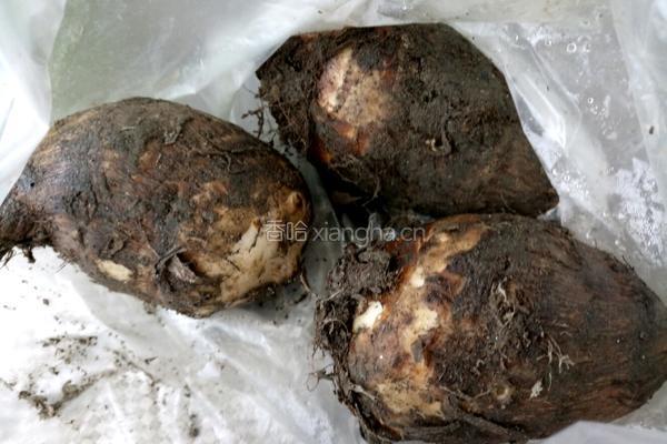 毛芋头卤肉(红烧肉)的做法图解3