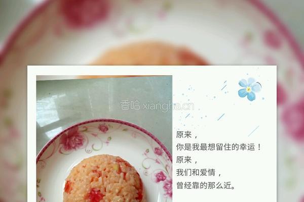 西红柿鸡蛋米饭的做法图解4