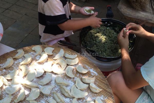 茄子粉条馅饺子的做法图解12