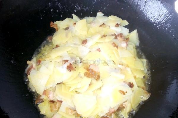 土豆炒腊肉的做法图解5