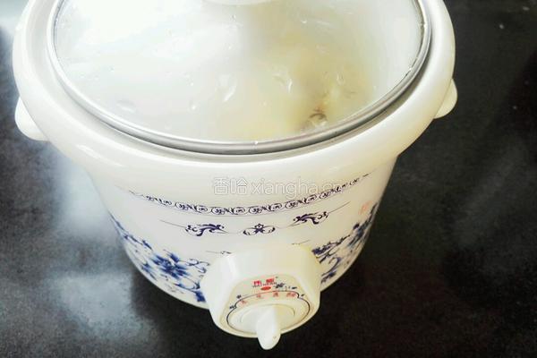 鸽子汤的做法图解4