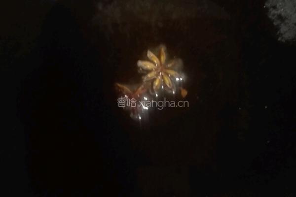 茶树菇炖鸡的做法图解6