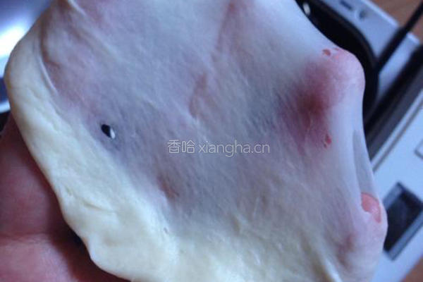 蔓越莓吐司的做法图解5