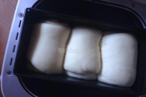 蔓越莓吐司的做法图解12