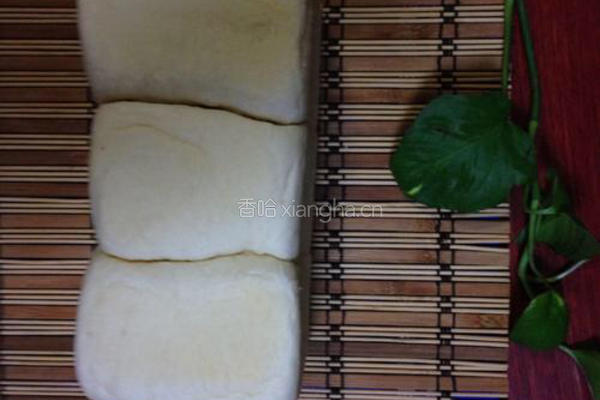 蔓越莓吐司的做法图解16