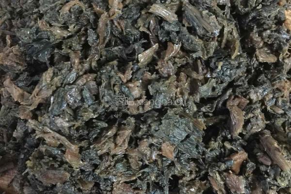 梅干菜烧饼的做法图解4