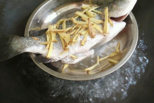 蒸尖嘴鱼的做法图解3