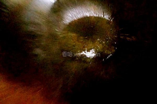 回锅牛肉的做法图解14