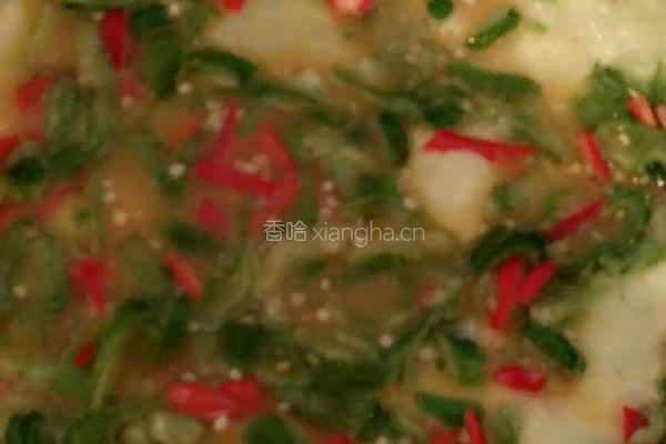 辣椒鸡蛋饼的做法图解4