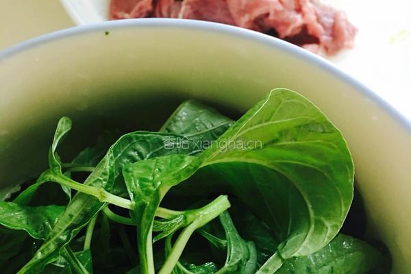 双肉补钙云吞面的做法图解7