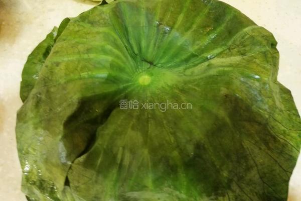 荷叶饭的做法图解5