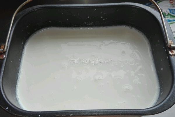 自制酸奶的做法图解7
