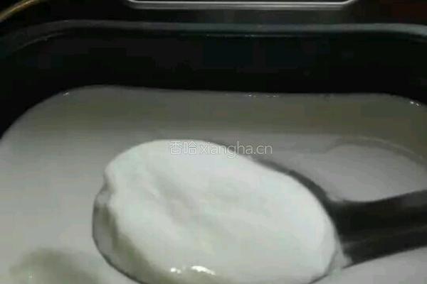 自制酸奶的做法图解13