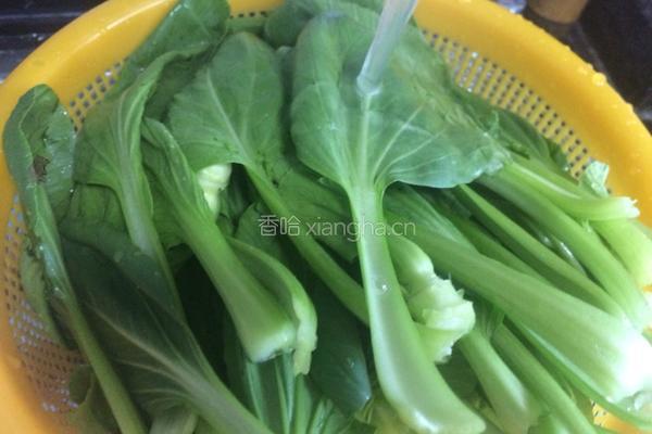 蒜蓉小白菜的做法图解4