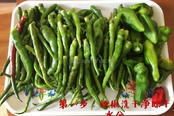 零失误辣椒酱的做法图解1