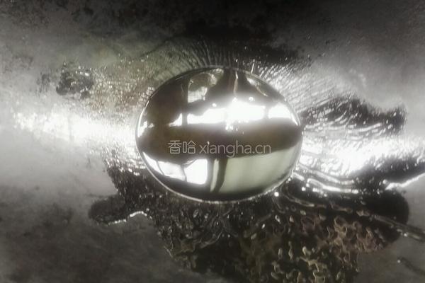 素炒土豆丝的做法图解4