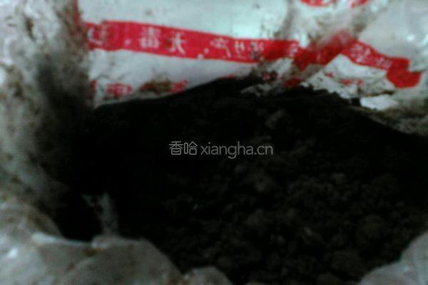 酸奶盆栽的做法图解3