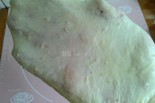 全麦中种土司的做法图解4