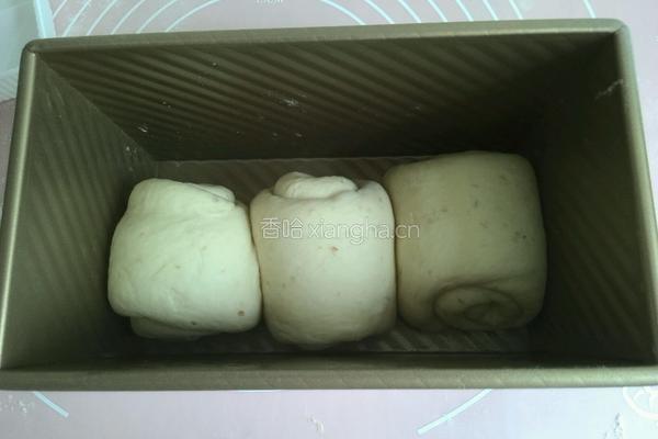 全麦中种土司的做法图解6