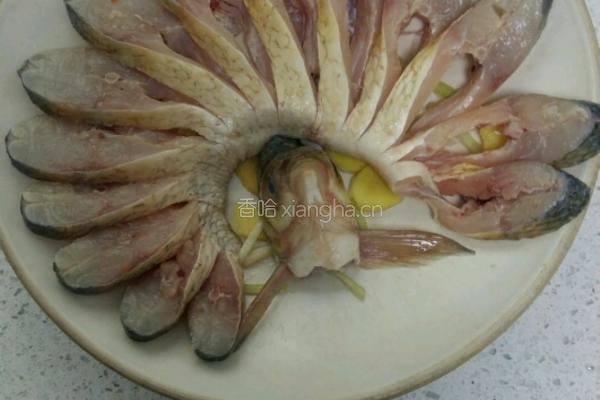 孔雀开屏的做法图解3