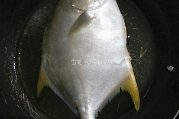 青红辣椒炒鱼的做法图解2