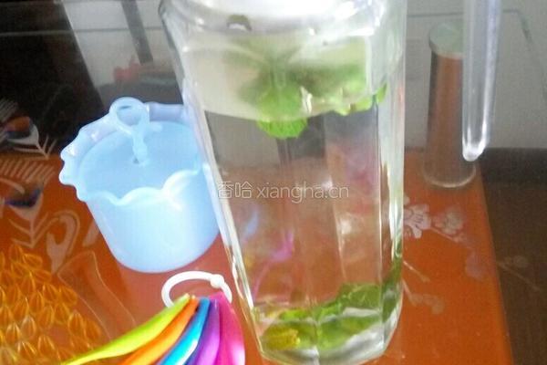 水果苏打水的做法图解4