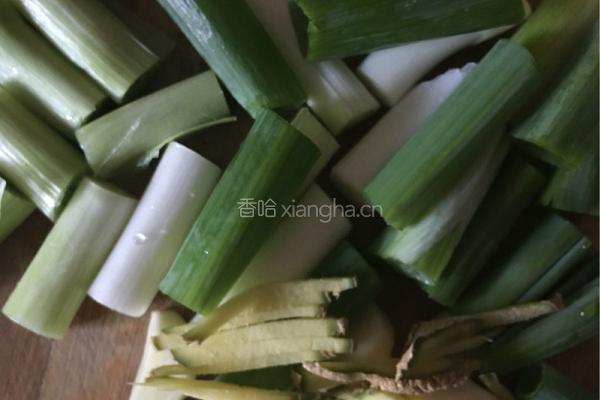 清炖鲤鱼的做法图解3