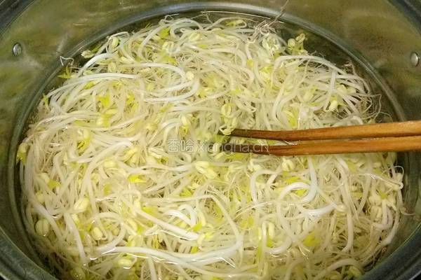 凉拌绿豆芽的做法图解7