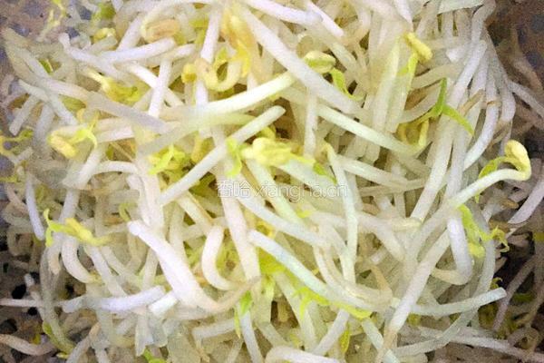 绿豆芽炒韭菜的做法图解1
