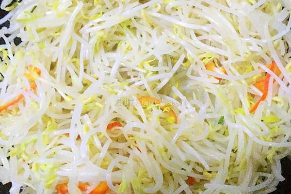 绿豆芽炒韭菜的做法图解3