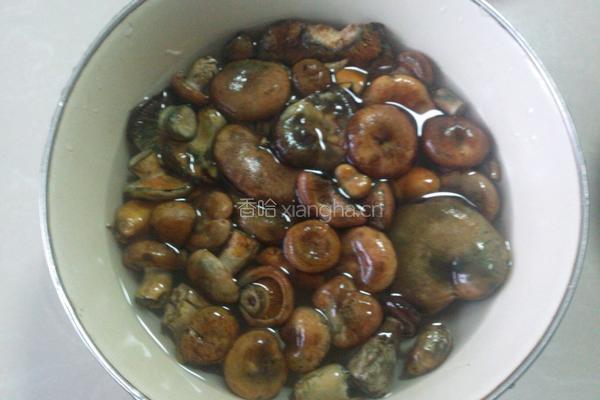 寒菌炖肉的做法图解1