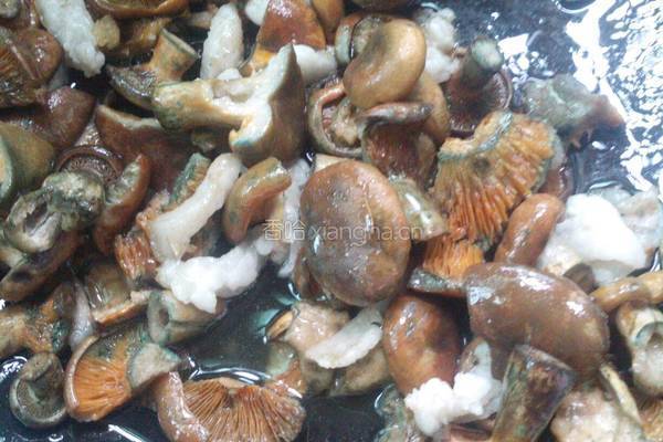 寒菌炖肉的做法图解5