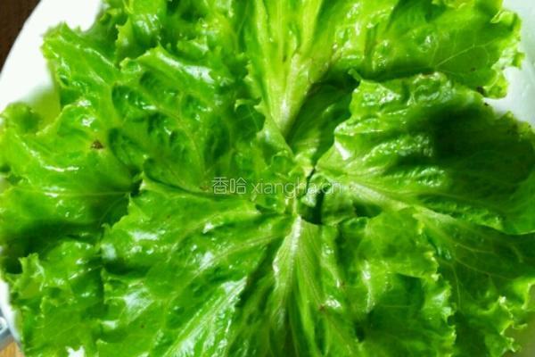 红烧藕丸的做法图解10