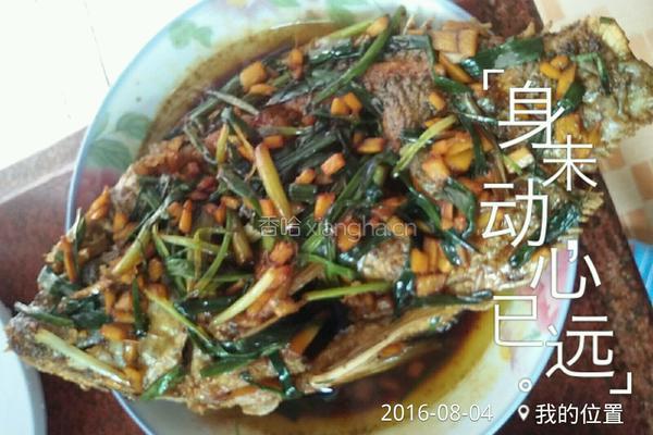煎炸福寿鱼的做法图解5