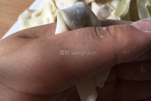 捏混沌的做法图解6