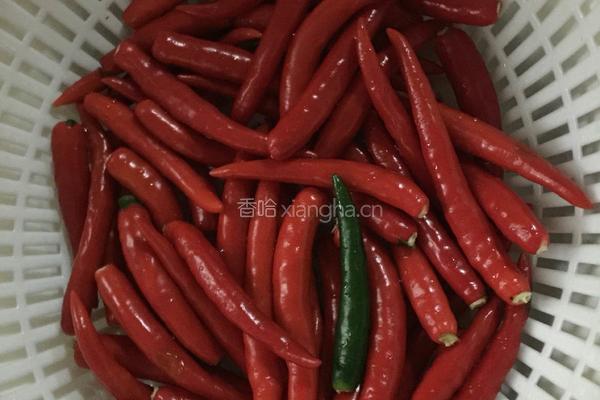 香辣鸡脚的做法图解2