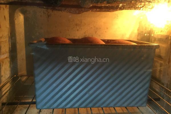 汤种可可吐司的做法图解17