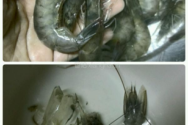 美味的虾粥的做法图解2