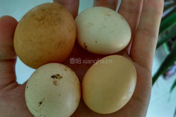 自制蛋挞的做法图解3
