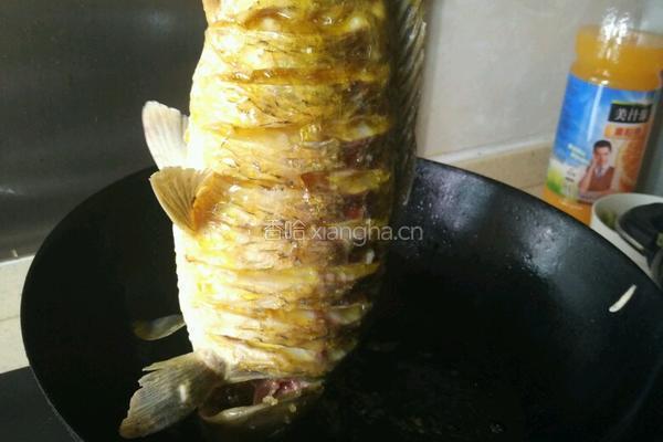 红烧糖醋鲤鱼的做法图解2
