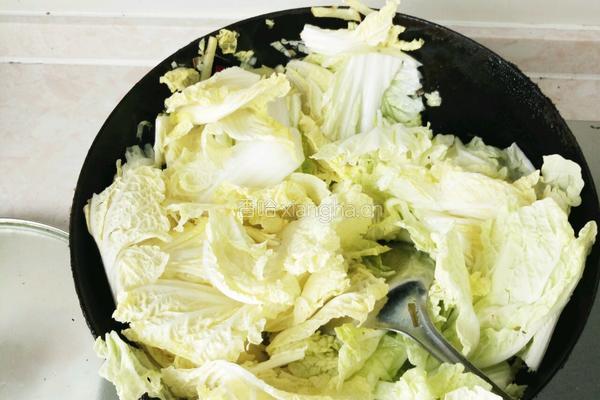 手撕白菜的做法图解4